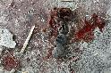 Beit Lahia UN school - white phosphorus 20